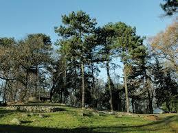 Park Miejski im. Generała Władysława Andersa